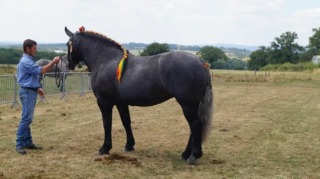 Le syndicat de la société française des équidés de travail a organisé son traditionnel concours de chevaux de trait « modèles et allures ». Ce concours consiste à juger les sujets de trois races équines : l’ardennais, le percheron et le breton « type trait grande taille et postier ». À l’issue de ce concours, les meilleurs spécimens ont été sélectionnés pour le prochain concours départemental. Au début de cette manifestation, Jacques Fauconnet a présenté son étalon Espoir de Villers pour le renouvellement de sa confirmation pour monte naturelle en main