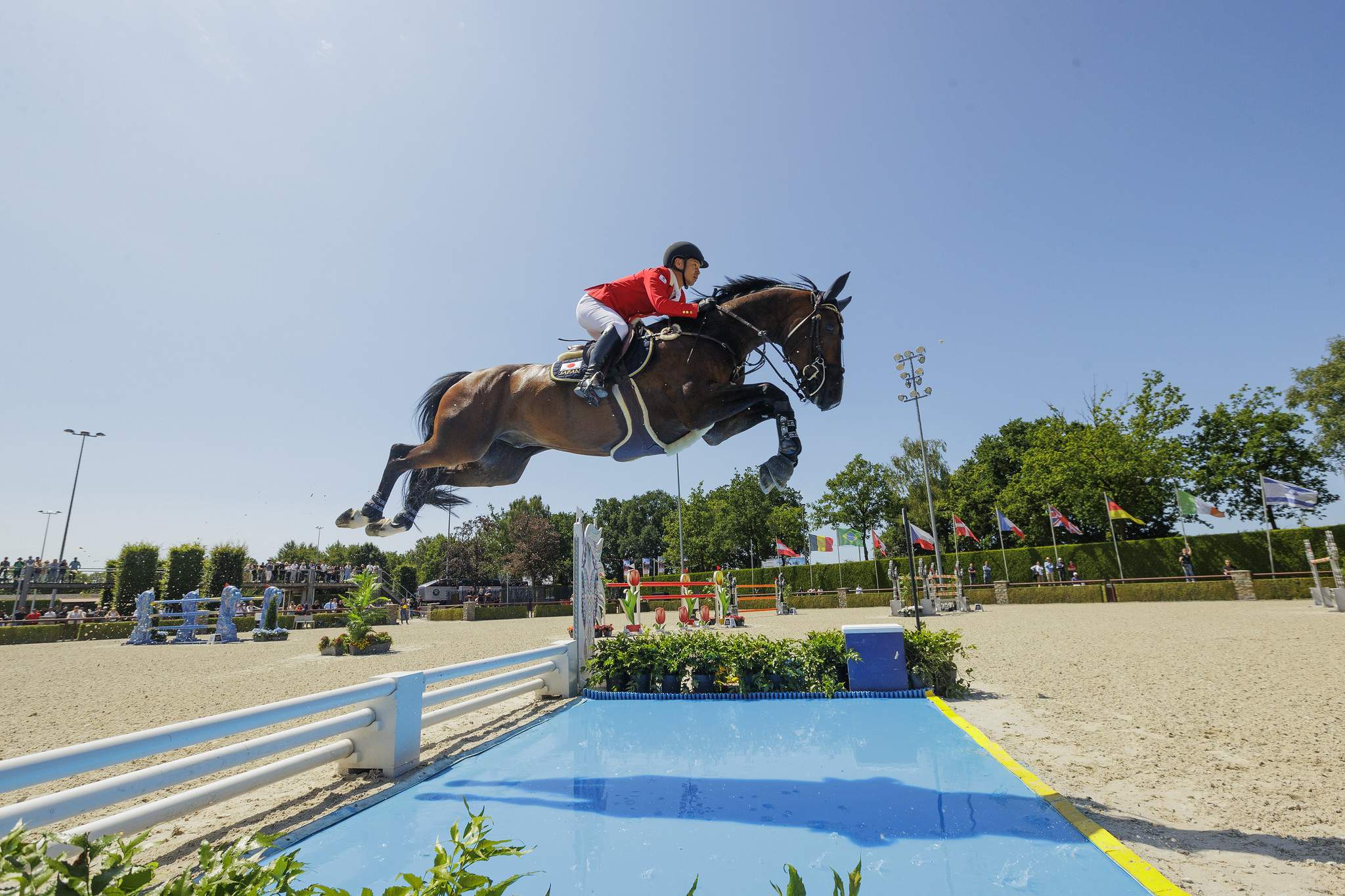 L’amour des Français pour l’équitation ne se dément pas. Le pays compterait près de 3 millions de cavaliers réguliers pratiquant ce sport (au moins une fois par semaine) et occasionnels (au moins une fois par an). Avec ses 670 000 licenciés en 2021, la Fédération Française d’Équitation (FFE) se place d’ailleurs à la troisième place des fédérations sportives de l’Hexagone, derrière le football et le tennis.