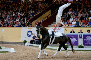 Ce vendredi 28 juillet se sont achevés les championnats d’Europe Seniors de voltige, et quel final pour les voltigeurs tricolores ! Déjà vice-champion du monde Quentin Jabet sur Ronaldo 200, longé par Andrea Boe, a dominé tout du long pour s’imposer et remporter sa première médaille d’or internationale individuelle. Théo Gardies sur Sir Sensation, longé par Sébastien Langlois, s’est adjugé l’argent à l’issue d’un excellent programme libre. À noter que la France dispose également de fortes chances de médailles dans les Mondiaux Juniors, dont les finales Femmes et Hommes se tiennent demain. 