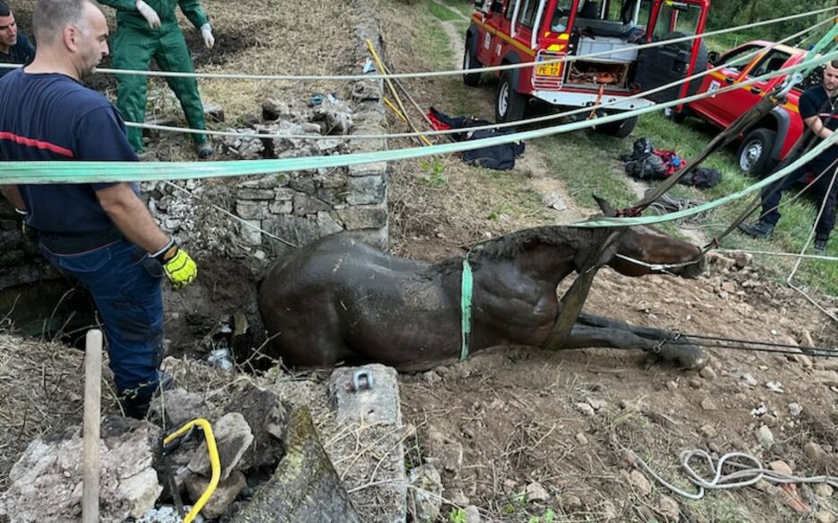 Ce jeudi 20 juillet, peu avant 18h00, l’équipe USAR (Unité de Sauvetage d’Appui et de Recherche) est engagée sur la Commune de Séverac-d’Aveyron pour le sauvetage d’un cheval tombé dans un puit. Très rapidement, le requérant fait parvenir une photo de la situation, indiquant la complexité de l’intervention. L’image est spectaculaire : le cheval est entièrement pris au piège du puits et l’intervention pour sortir de là une bête de plusieurs centaines de kilos promet d’être complexe. Une fois sur les lieux, l’équipe spécialisée, composée de six USAR, sera renforcée par quatre sapeurs-pompiers de Séverac.