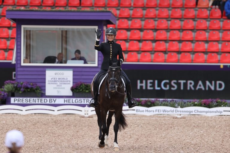 Comment parrainer un cheval du Cadre noir de Saumur