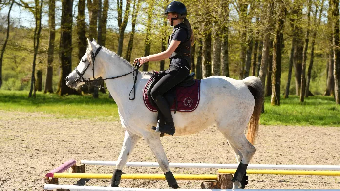 Les équipes de France pour les championnats d’Europe Juniors et Jeunes de TREC