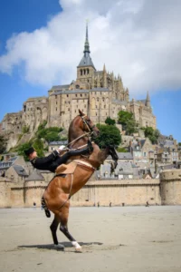 Le calendrier du Cadre noir s’organise autour de plusieurs déplacements : l’occasion pour les écuyers d’aller à la rencontre de leurs différents publics et de promouvoir l’Equitation de tradition française ainsi que les valeurs qu’elle véhicule vers le plus grand nombre.