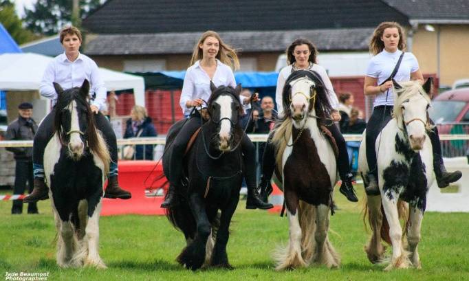 DROIT À LA SCOLARITÉ AU CNED POUR LES SECTIONS SPORTIVES D’ÉQUITATION : MOBILISONS-NOUS !