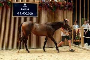 La vente de yearlings d'août 2023, à Deauville, s'est achevée avec un "top Price" à 2,4 millions d’euros pour une pouliche, pas loin du record de 2015. Les organisateurs annoncent un chiffre d'affaires record de près de 57 millions d'euros.