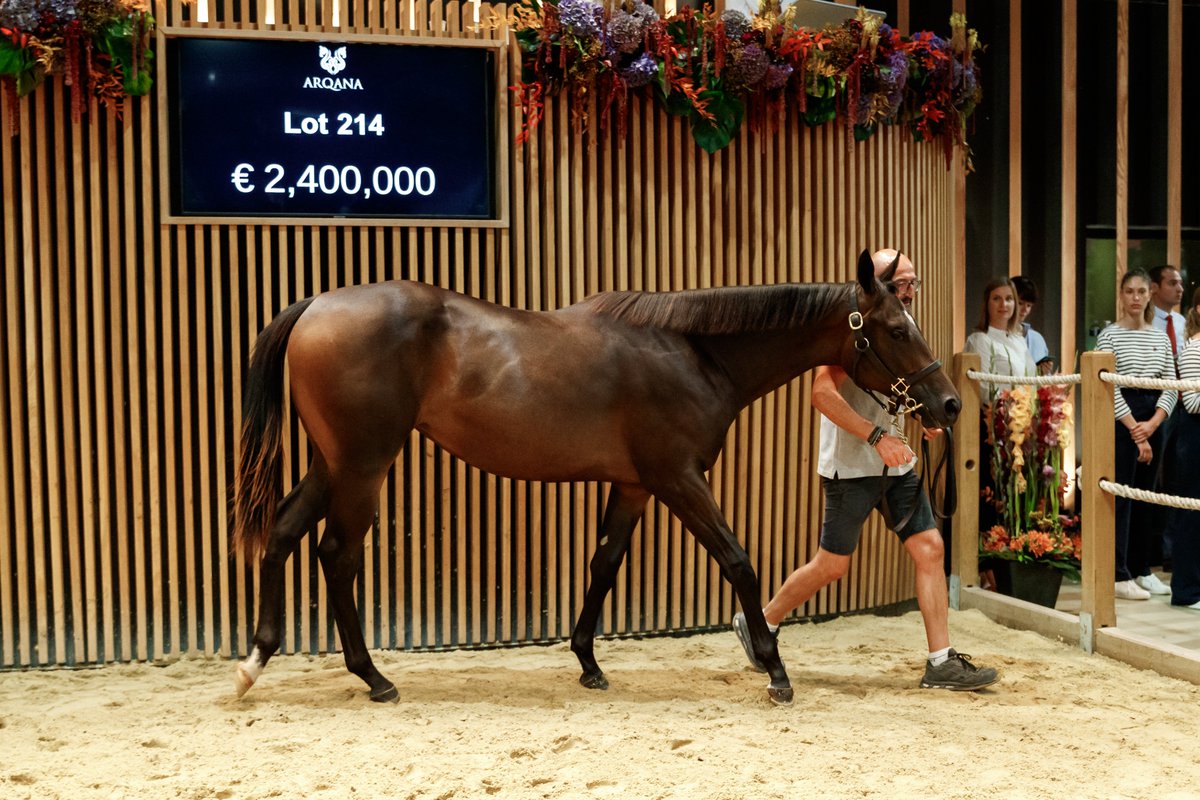 La vente de yearlings d'août 2023, à Deauville, s'est achevée avec un "top Price" à 2,4 millions d’euros pour une pouliche, pas loin du record de 2015. Les organisateurs annoncent un chiffre d'affaires record de près de 57 millions d'euros.