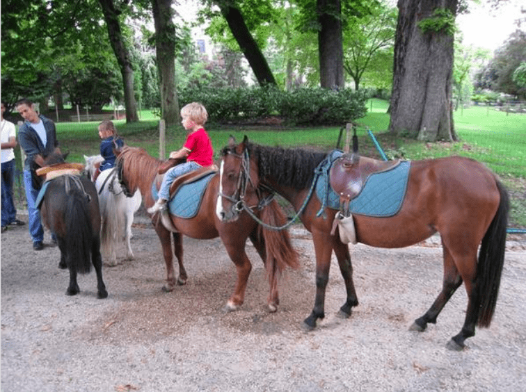 La ville de Paris a décidé de mettre fin aux balades à poneys dans leur forme actuelle, à échéance des conventions en 2025. Cela veut dire que la convention d'occupation du domaine public, signée en 2022 par la ville de Paris pour trois ans, ne sera pas renouvelée. Cette convention définissait les conditions précises de l'exploitation des promenades à poneys. C