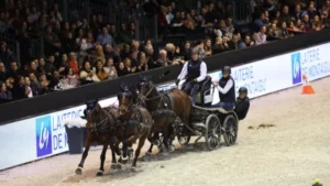 Exloo (23 au 27 août) & Oirschot (30 août au 3 septembre) La Fédération Française d’Équitation communique la liste des attelages qui représenteront la France aux championnats d’Europe Team et aux championnats du monde Poneys (catégories Solo, Paire et Team). Ces championnats se dérouleront aux Pays-Bas, respectivement à Exloo du 23 au 27 août et à Oirschot du 30 août au 3 septembre.