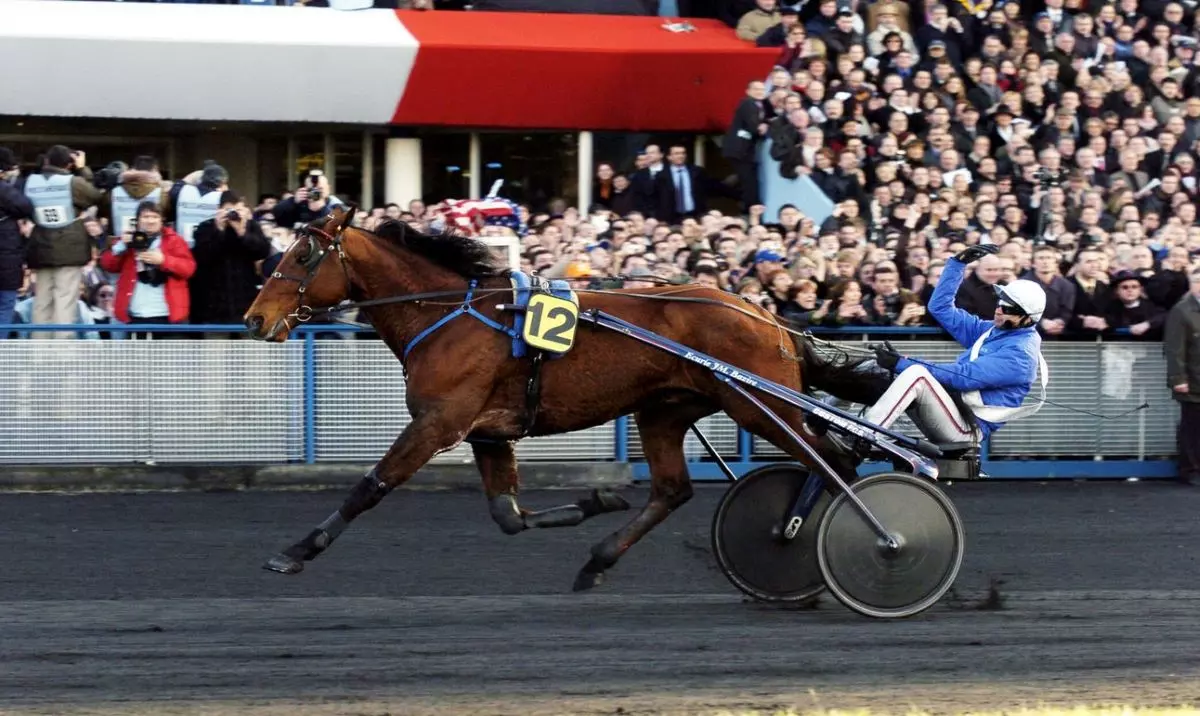 Le Haras de Brassé au Grand-Lucé, en Sarthe, annonce le décès du cheval Kesaco Phedo le 31 juillet. Élevé en Mayenne, l'animal avait remporté le Prix d'Amérique en 2004. Né en mars 1998 à quelques encablures du Bourgneuf La Forêt, chez Pierre Touvais et son épouse Dominique Marie, Kesaco Phédo est devenu un étendard de la Mayenne dont il a porté haut les couleurs. Remarqué par le courtier Yves Marchal, le futur crack entre rapidement à l'entraînement chez Philippe Allaire, défendant les couleurs de l'Écurie Wildenstein.