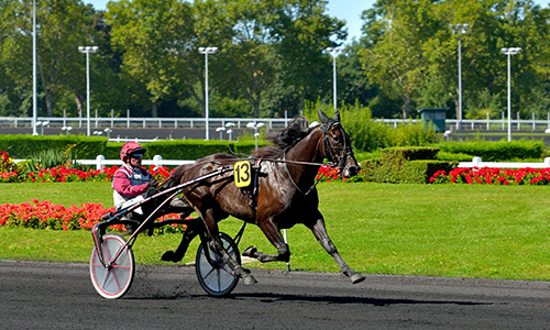 Double vainqueur du Prix d'Amérique, Ready Cash s'est éteint dans son haras de Bouttemont à Beuvron-en-Auge à l'âge de 18 ans. Ready Cash fait partie des nombreux chevaux normands qui ont écrit l'histoire du Prix d'Amérique depuis le début des années 2000. On citera Général du Pommeau (vainqueur en 2000), Jag de Bellouet (2005), Offshore Dream (2007 et 2008) et Oyonnax (2010).