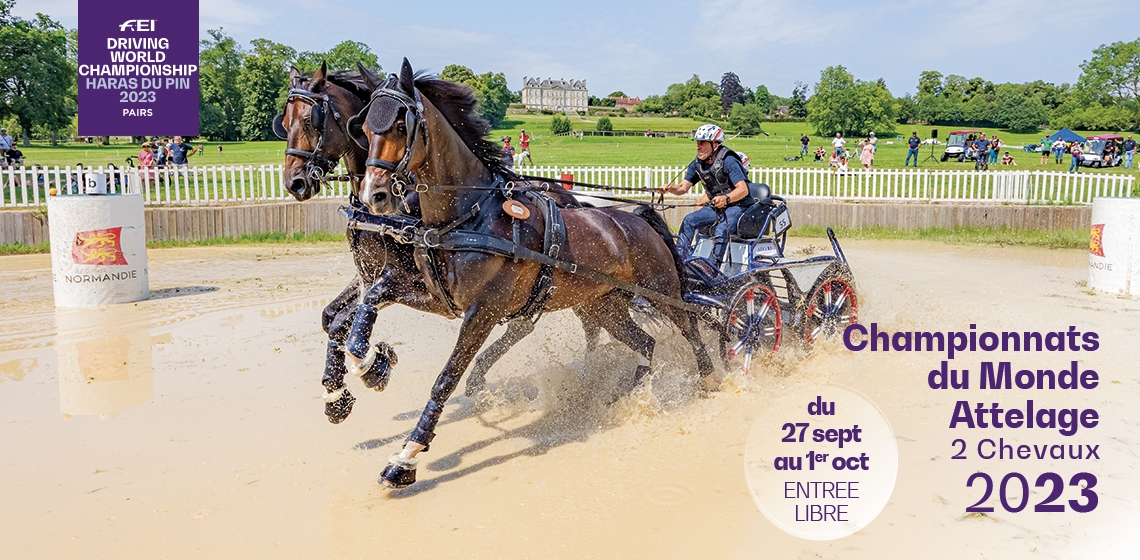 A la suite du choix fait par le sélectionneur national Félix-Marie Brasseur et l'équipe fédérale d'encadrement sportif, la Fédération Française d'Equitation annonce la liste des meneurs et chevaux qui représenteront la France à l'occasion des championnats du monde d'attelage en paire au Haras du Pin (61) du 27 septembre au 1er octobre 2023.