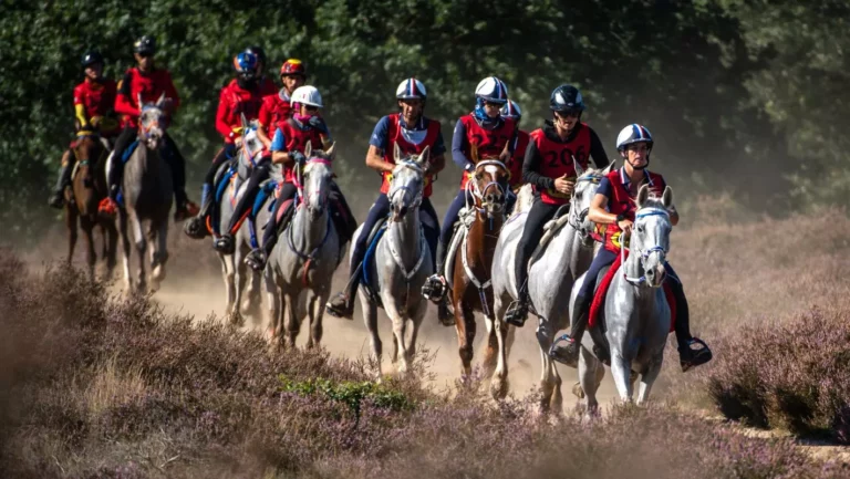 Une course pavée d’or et de bronze pour les Bleus de l’endurance aux championnats d’Europe d’Ermelo