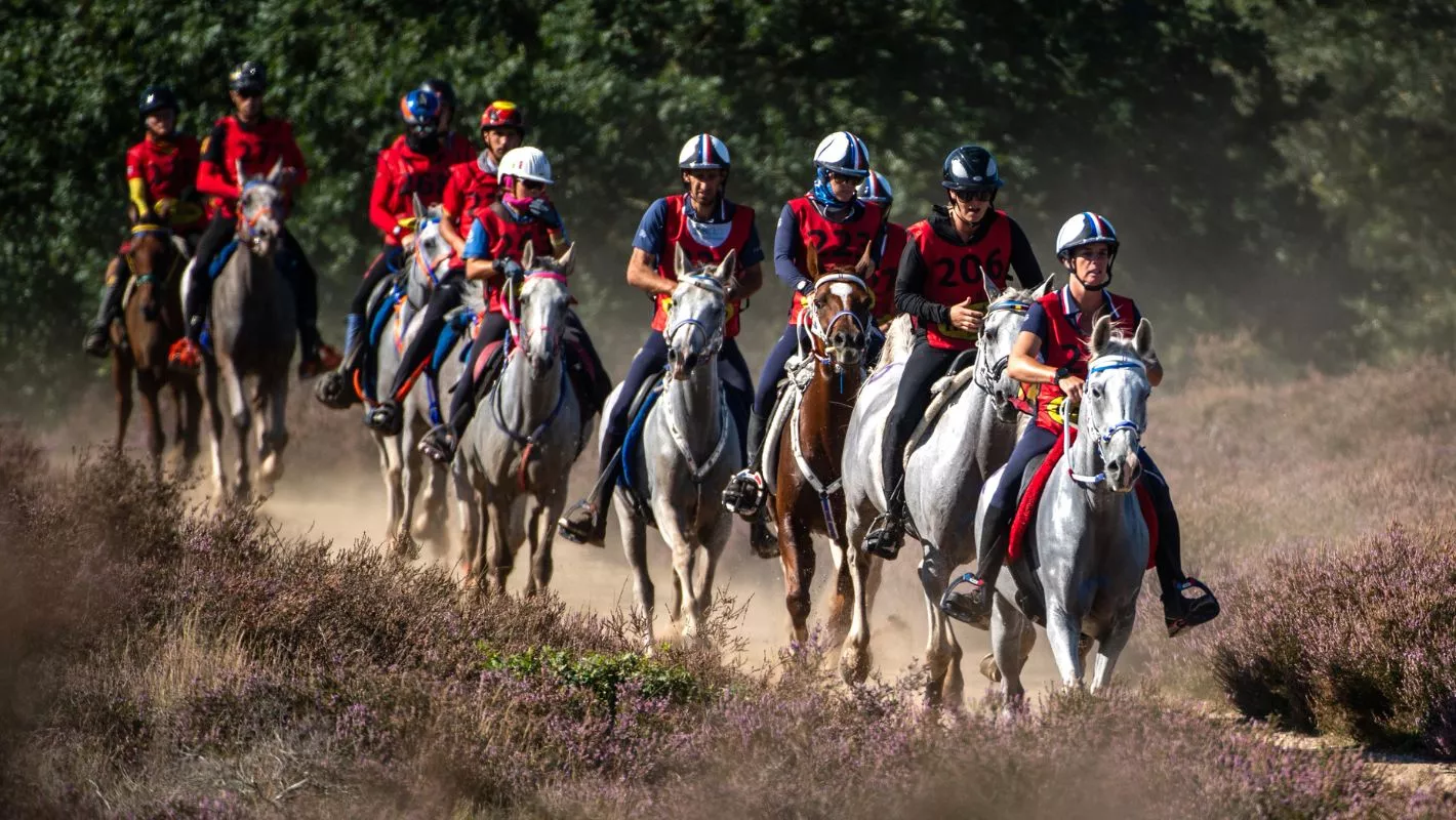 Quelques mois après son titre de championne du monde obtenu à Butheeb (UAE), l'équipe de France avait à cœur de récidiver aux championnats d'Europe d'endurance à Emelo (NED). À l'issue de la course de 160 km, au départ de laquelle étaient alignés près de 75 des meilleurs couples européens, la France s'est à nouveau parée d'or par équipe et réalise un exceptionnel doublé après le titre mondial quelques mois plus tôt. La médaille de bronze en individuel revient à Philippe Tomas et Biwaka de Chalendrat. 