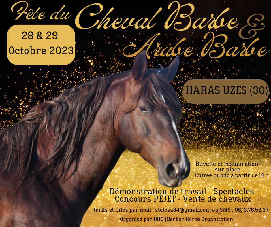 La Fête du CHEVAL BARBE et ARABE-BARBE aura lieu les Samedi 28 Octobre et Dimanche 29 octobre 2023 au HARAS UZES – Chemin du Mas des Tailles – 30700 UZES. Venez nombreux pour découvrir ou redécouvrir ce magnifique cheval et leurs éleveurs au cours d'une manifestation qui s'avère d'ors et déjà conviviale et constructive.