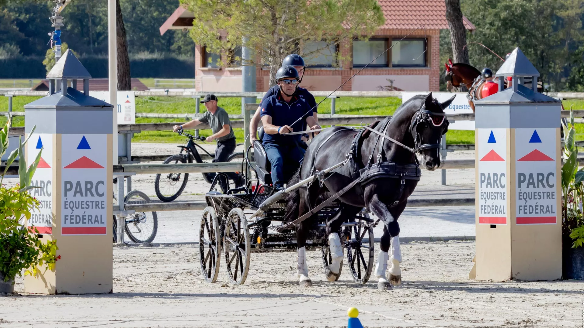 Pour la première fois depuis sa création en 2015, le championnat du monde FEI d'attelage Jeunes Chevaux posait ses valises en France du 5 au 8 octobre. La Fédération Équestre Internationale avait choisi le site du Parc équestre fédéral, siège de la Fédération Française d'Équitation, pour accueillir cette édition 2023 qui s'est déroulée sous un soleil radieux. À l'issue des quatre jours d'épreuves, les nouveaux champions du monde des chevaux de 5, 6 et 7 ans ont été sacrés. Parmi eux, Idromel Noir*IFCE avec Fabrice Martin pour la France chez les 5 ans, Lemmy-K, mené par Mario Gandolfo (SUI) chez les 6 ans et Freaky Friday 12 avec la Luxembourgeoise Marie Schiltz chez les 7 ans.