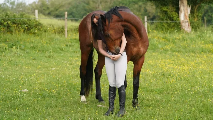 EquiAction x FFE : Conférence-Débat « Le cheval, ce partenaire qui nous rend plus fort »