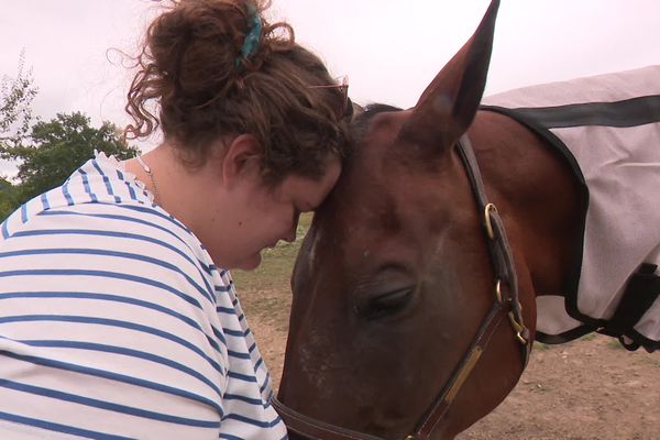 Plaisir des Fleurs va pouvoir “rester avec son copain” : un cheval malade sauvé de l’euthanasie temporairement, par le tribunal administratif de Bordeaux