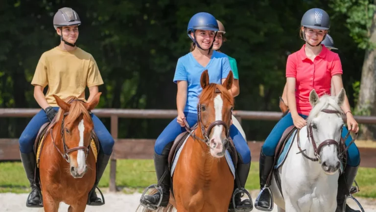 Adoption définitive du taux de TVA à 5,5% pour l’équitation