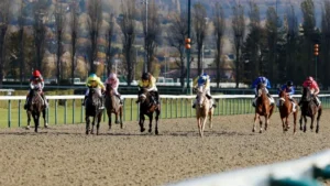 Les 1 et 2 novembre, le championnat Open Plat indice 1 a conclu la saison 2025 des championnats de France de courses de galop à poney. L’association nationale Les poneys au galop (ANPG) avait donné rendez-vous au public normand sur l’hippodrome de Deauville - La Touques (14) pour une dernière rencontre sportive et festive. Philippine Madamet, Tao Fouassier et Tiago Lerner sont montés sur la plus haute marche du podium dans leurs catégories respectives.