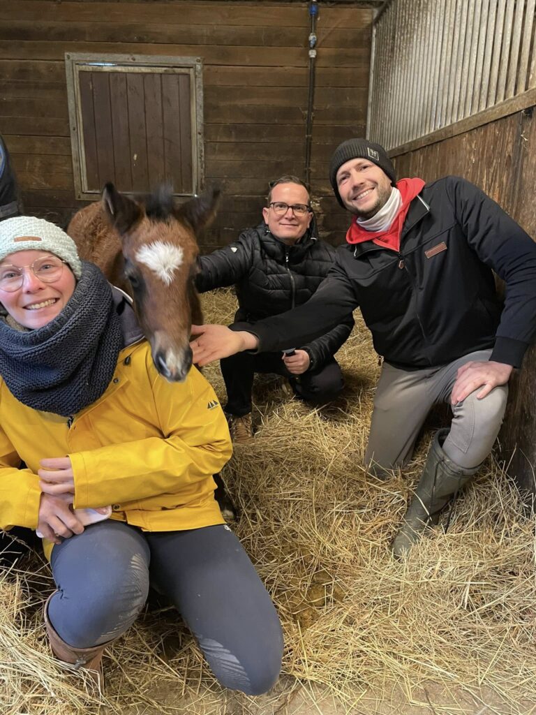 Un vent de magie a soufflé sur le centre équestre Hippo’thèse à Mallemort dans les Bouches du Rhône avec l’arrivée totalement inattendue d'une petite ponette. Cette naissance surprise, survenue au cœur de l'hiver, a plongé les cavaliers et l'équipe pédagogique dans une émotion immense. Découvrez l'histoire de ce petit miracle de la nature qui devient déjà la mascotte du club et le symbole d'un début d'année 2026 placé sous le signe de la tendresse.