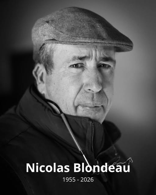 Nicolas Blondeau, une vie dédiée à la compréhension du cheval et à l'art de la transmission.