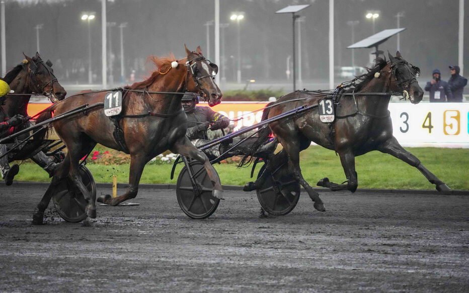 L’hippodrome de Paris-Vincennes a vibré, ce dimanche 25 janvier 2026, au rythme d’une édition du Prix d’Amérique Legend Race qui restera gravée dans les mémoires comme celle de la résilience. Dans une atmosphère électrique, sous un ciel de janvier chargé, c’est le valeureux Hokkaido Jiel qui a décroché la plus belle victoire de sa carrière, s’adjugeant le titre de champion du monde du trot attelé. Pour tous les passionnés, cette course a représenté l'apogée de l'hiver, mêlant tactique pure, endurance et une dose de destin hors du commun.