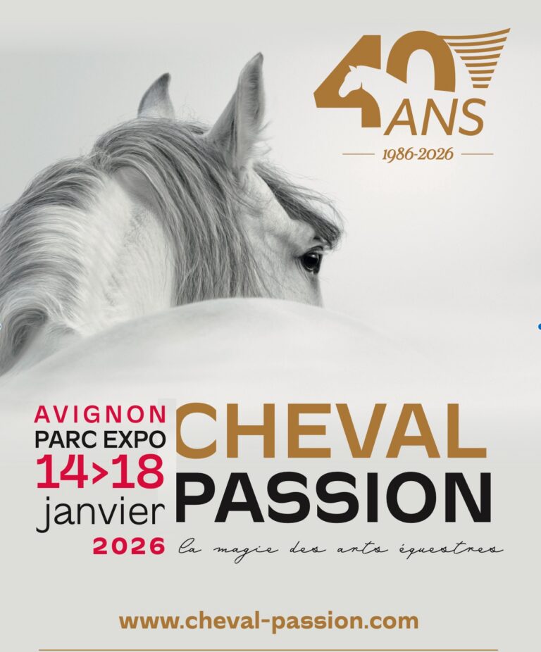 L’Eveil des Centaures                                                Avignon, coeur battant de la magie équestre