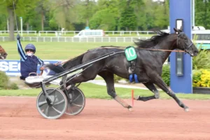 Le Prix de Cornulier 2026 a sacré un nouveau roi sur le mâchefer de Vincennes : l'impressionnant Iguski Sautonne. Porté par une génétique d'élite, ce fils de Village Mystic a surclassé l'opposition sous la selle d'un Alexandre Abrivard impérial, qui décroche ici son troisième titre dans l'épreuve. Ce succès familial est aussi celui de son cousin, l'entraîneur Matthieu Abrivard, dont le palmarès légendaire atteint désormais sept trophées au sommet du trot monté. Plongez au cœur de cet exploit historique où la puissance, le sang-froid et la passion d'une dynastie ont fait vibrer le temple du trot.