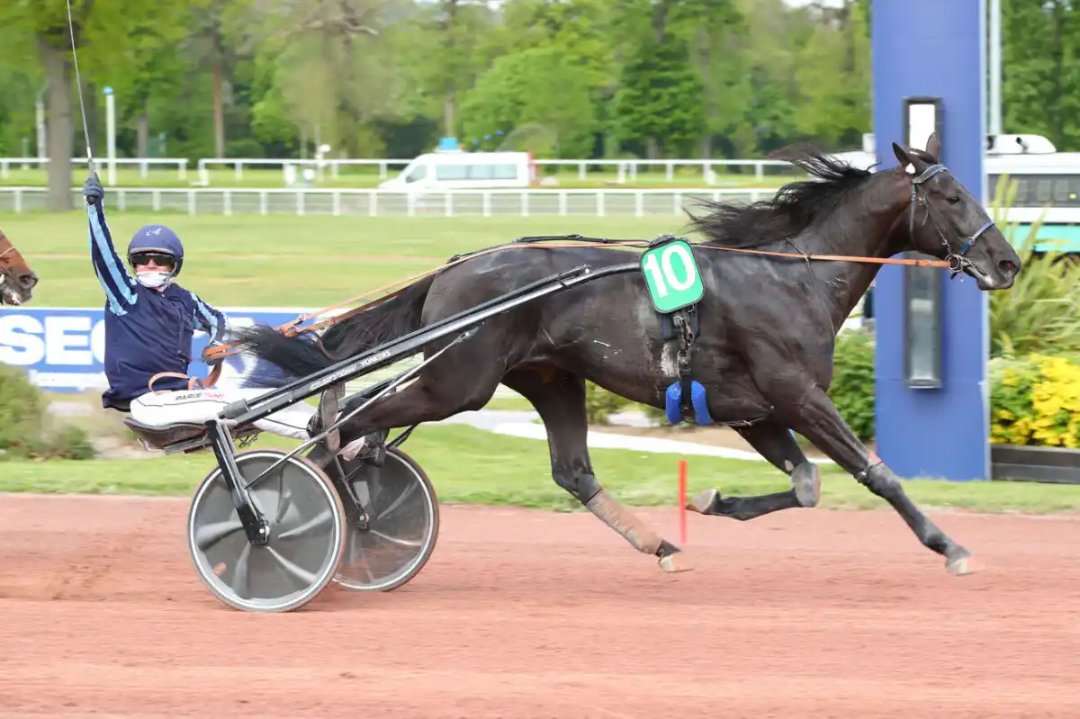 Le Prix de Cornulier 2026 a sacré un nouveau roi sur le mâchefer de Vincennes : l'impressionnant Iguski Sautonne. Porté par une génétique d'élite, ce fils de Village Mystic a surclassé l'opposition sous la selle d'un Alexandre Abrivard impérial, qui décroche ici son troisième titre dans l'épreuve. Ce succès familial est aussi celui de son cousin, l'entraîneur Matthieu Abrivard, dont le palmarès légendaire atteint désormais sept trophées au sommet du trot monté. Plongez au cœur de cet exploit historique où la puissance, le sang-froid et la passion d'une dynastie ont fait vibrer le temple du trot.