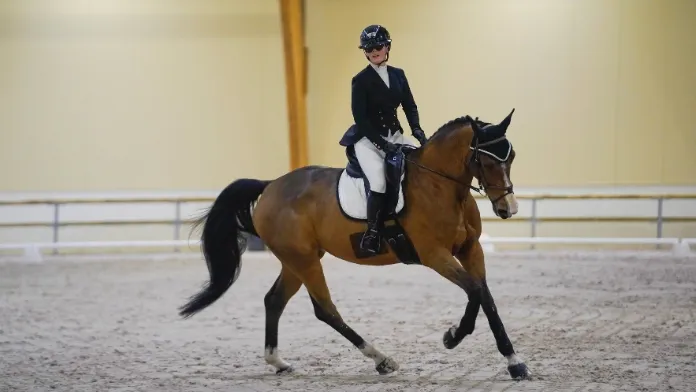Onze couples ont été convoqués, du 12 au 15 janvier, au Parc équestre fédéral, pour la première masterclass de para-dressage de l’année. Si les cavaliers paralympiques Alexia Pittier, Vladimir Vinchon et Chiara Zenati, qui ont pris part aux Jeux de Paris 2024 étaient de la partie, des couples en devenir ont également été conviés. Tous ont pu répéter leurs gammes avec leurs entraîneurs privés sous les yeux du staff fédéral afin de préparer les prochaines grandes échéances du calendrier sportif.