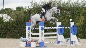 Concours complet à Saummur ©FFE/CSV