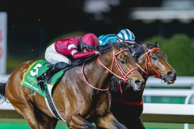 L’oasis de platine