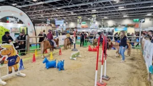 Du 21 février au 1er mars, à l’occasion du Salon International de l’Agriculture, la Fédération Française d’Équitation donne rendez-vous au public pour une immersion au cœur de l’univers du cheval. Sur son stand, petits et grands pourront explorer la richesse et la diversité de l’équitation, découvrir ses disciplines et ses bienfaits. Au programme : rencontres avec les équipes fédérales, animations du poney-club éphémère et conseils personnalisés pour trouver le club adapté à ses envies.