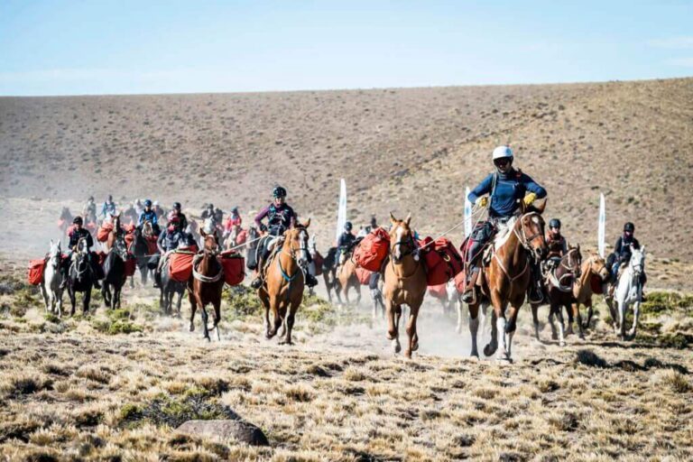 Le Gaucho Derby ou la passion des grands espaces