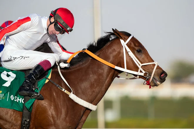 Michael Scofield (USA) et Oisin Murphy remportent la Tuwaiq Cup (Listed, 1 million USD), présentée par SHG. Crédit : JCSA.
