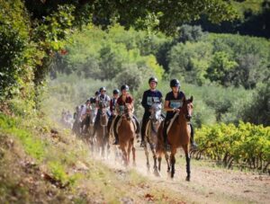 Le communiqué tant attendu de la Société Hippique Française vient de lever le voile sur les ajustements règlementaires de la saison 2026. Entre harmonisation fédérale, innovations techniques et bien-être animal, la filière endurance Jeunes Chevaux s'offre une cure de jouvence stratégique.