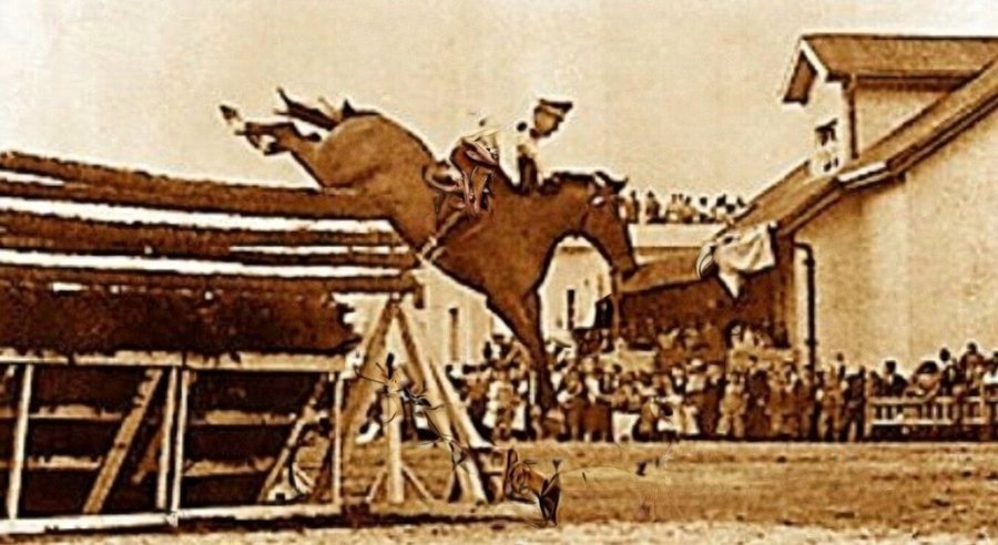 Dans l'histoire du sport, certains records semblent gravés dans le marbre, défiant le temps et les lois de la physique. Le 5 février 1949, un cheval chilien nommé Huaso et son cavalier, le capitaine Alberto Larraguibel, ont réalisé l'impossible : franchir un obstacle de 2,47 mètres.