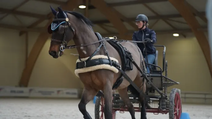 Entre novembre et février, des attelages de toutes les catégories chevaux et poneys ont été convoqués par la Fédération Française d’Équitation au Parc équestre fédéral à Lamotte-Beuvron - Pôle France FFE d’attelage - pour plusieurs rassemblements fédéraux. Meneurs chevronnés comme jeunes recrues ont évolué sous l'œil attentif du staff fédéral afin de préparer avec application la saison à venir.