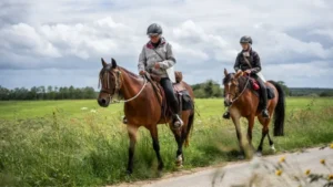 Du 12 au 15 mars, la Fédération Française d’Équitation, à travers son Comité National de Tourisme Équestre, renouvelle sa participation au salon Destinations Nature, espace réservé à la randonnée et aux escapades en plein air, au sein du salon du Tourisme ! Rendez-vous à Paris, Porte de Versailles, sur le stand C084, partagé avec le Comité Régional d’Équitation d’Île-de-France.