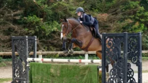 img alt="Cavalier en tenue de Hunter sur un obstacle">