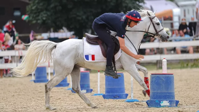 Les meilleurs joueurs de pony-games du moment étaient convoqués pour un stage de sélection au Parc équestre fédéral, à Lamotte-Beuvron (41). Près d’une soixantaine de couples, évoluant de la catégorie U12 à Open, ont fait le déplacement pour un regroupement au programme très complet et qui revêtait un enjeu tout particulier à quelques mois des championnats du monde de la discipline sur ce même site.