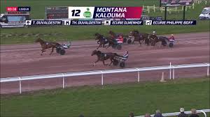 "Découvrez l'ascension fulgurante de Montana Kalouma, fils du champion Hohneck. De sa naissance chez Philippe Boff à ses victoires avec Thierry Duvaldestin, voici le portrait d'un futur crack."