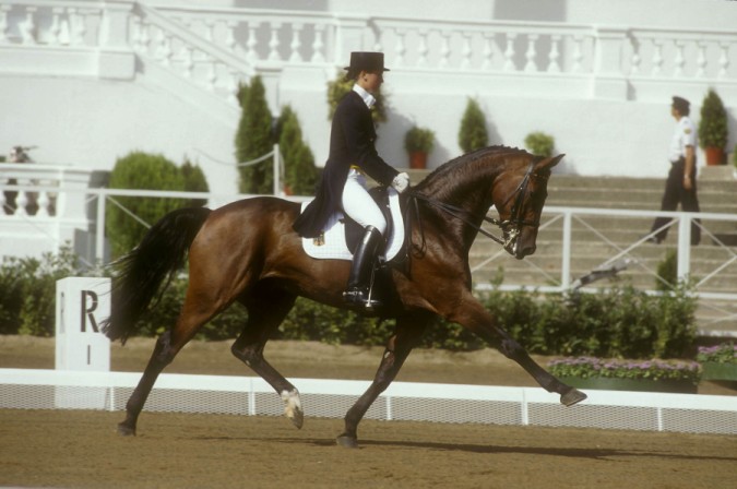 "Découvrez l'histoire fascinante de Rembrandt et Nicole Uphoff. Du poulain anxieux au double champion olympique de dressage, un récit poignant sur Cheval Addict."