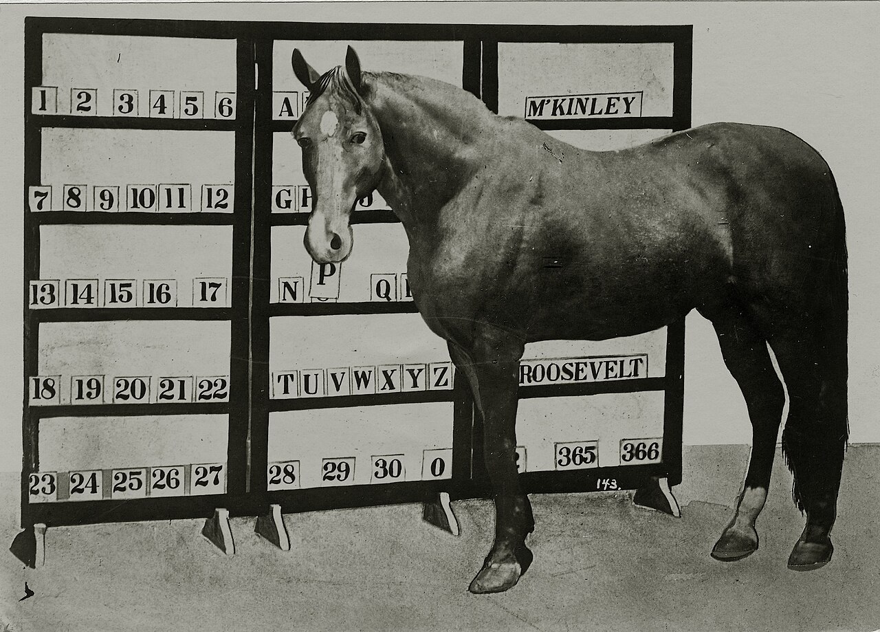 Beautiful Jim Key : L'histoire vraie du cheval qui savait lire et écrire