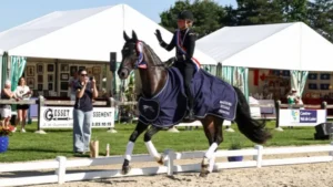 Pauline Basquin et Sertorius de Rima Z célèbrent leur titre de champions de France Pro Élite de dressage 2026 à Vierzon lors du tour d'honneur.