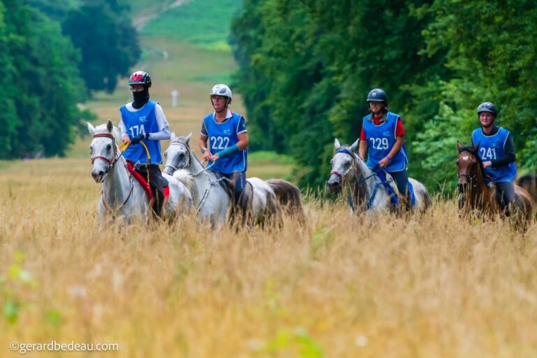 Cavaliers d'endurance équestre au galop sous les grands arbres de la forêt de Compiègne lors d'une épreuve internationale organisée par l'association Lawal