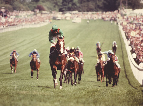 Le mystère Shergar : L'histoire vraie du crack d'Epsom enlevé par l'IRA