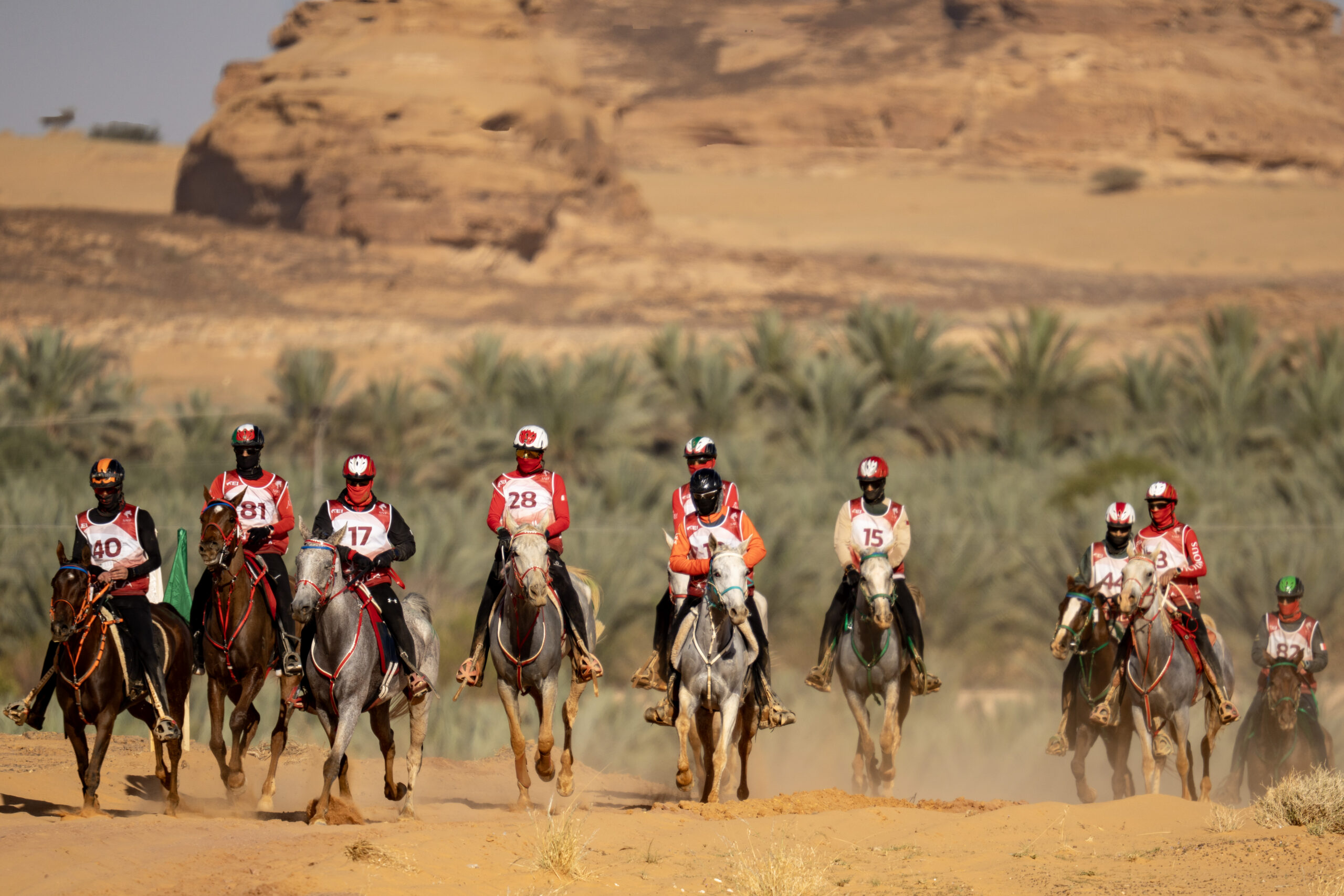 Un peloton de cavaliers d'endurance en chasubles numérotées galope de front sur une piste de sable beige. En arrière-plan se dressent une palmeraie verdoyante et d'imposantes formations rocheuses désertiques typiques d'AlUla.