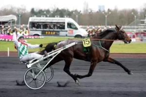 Le trotteur Meaulnes du Corta, portant le numéro 15, mené par son driver Franck Nivard qui lève le bras en signe de victoire sur la cendrée de l'hippodrome de Vincennes.