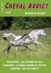 Couverture Cheval Addict numéro 16